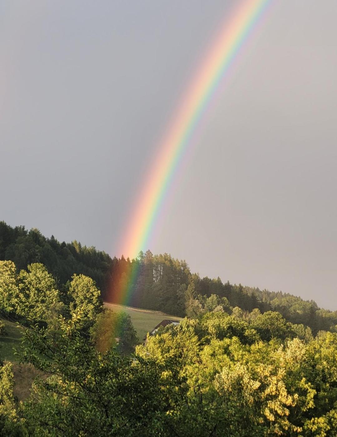 Gasthaus Schoeberingerhof ไวแร็กก์ ภายนอก รูปภาพ